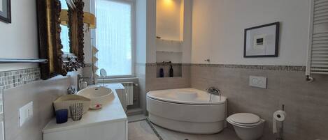 Shower, jetted bath, hair dryer, bidet