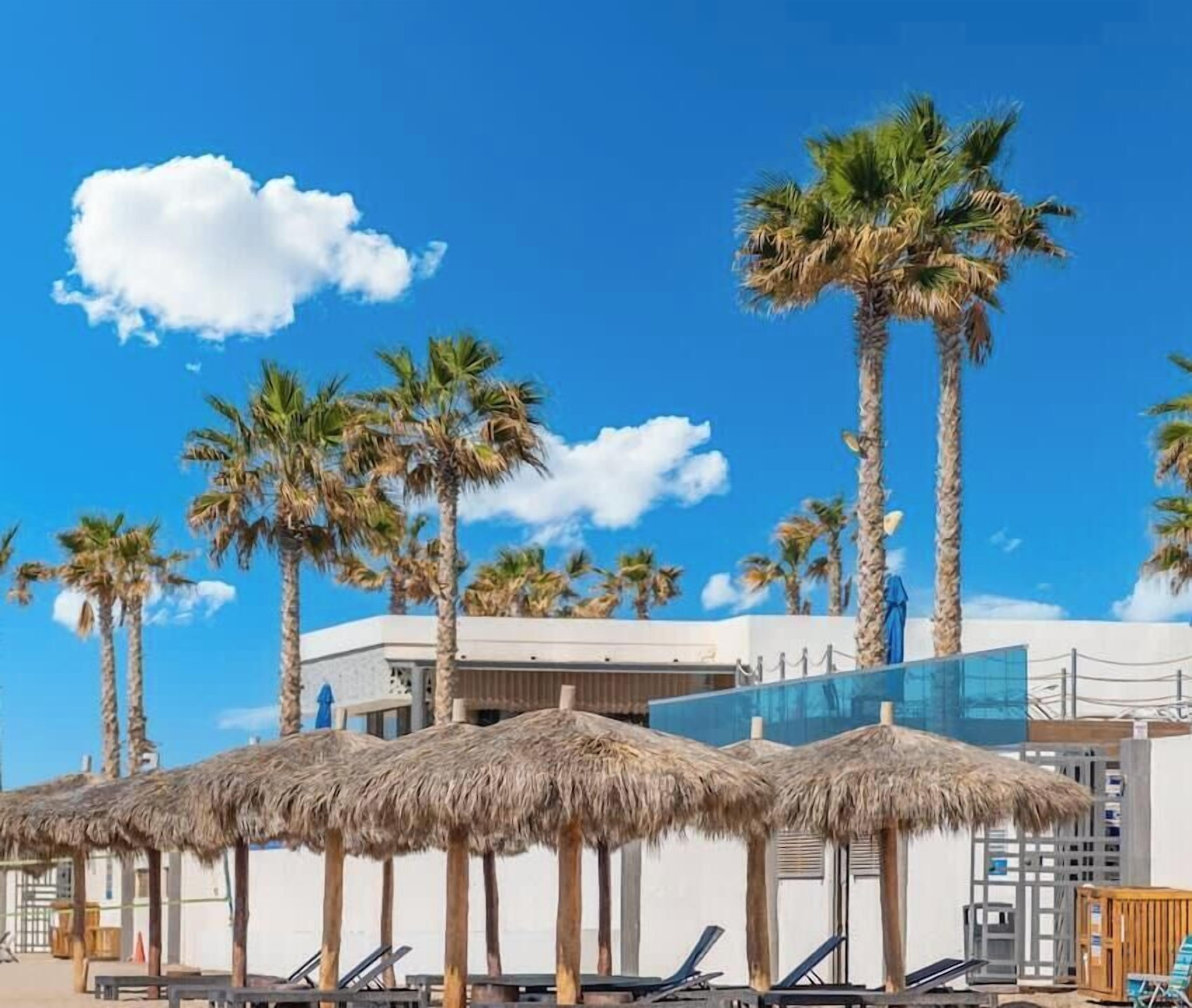 Un hotel frente a la playa con palmeras, sombrillas de paja y sillones de descanso.