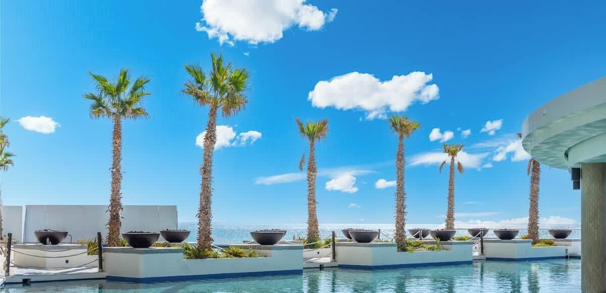 A pool area with palm trees and a clear sky.