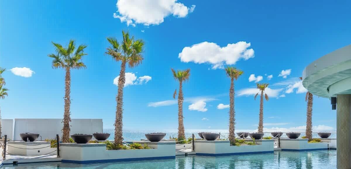 Un espace piscine agrémenté de palmiers et surplombé d’un ciel dégagé.