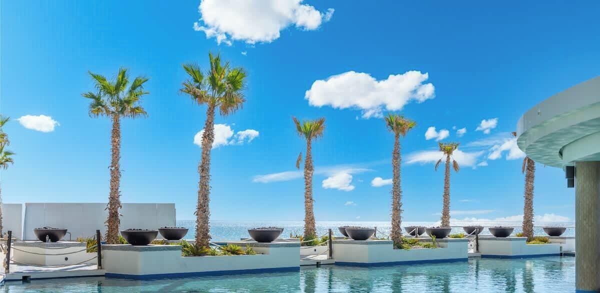 A pool area with palm trees and a clear sky.