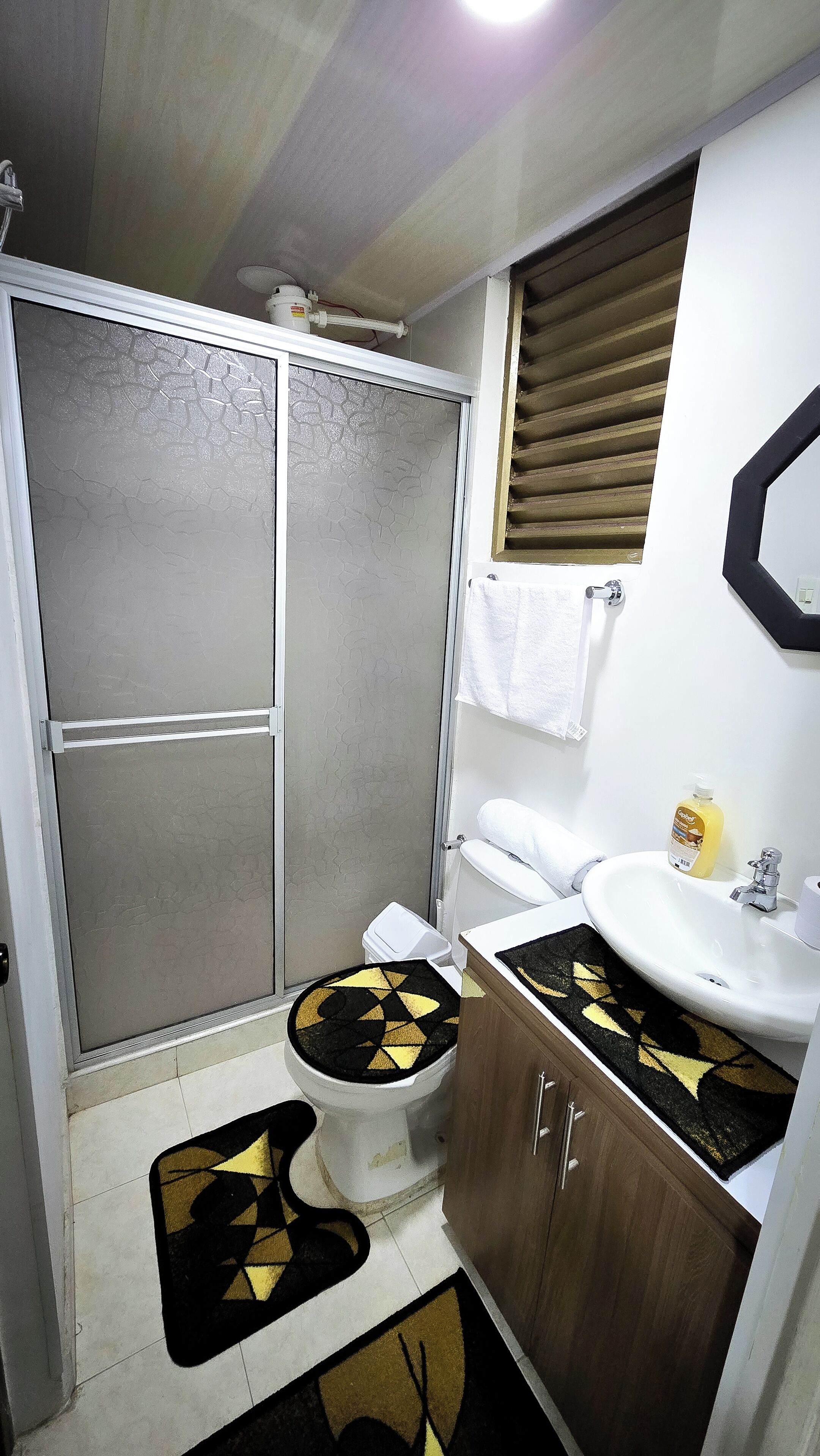 Shower, towels, soap, toilet paper