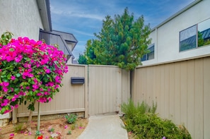 Terrain de l’hébergement 