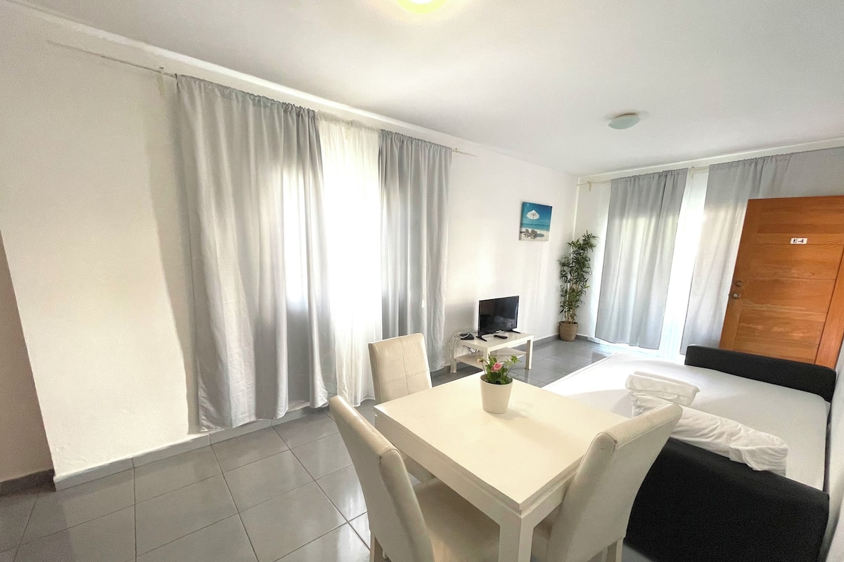 A hotel room with a bed, a desk with a chair, a TV, a potted plant, and a window with curtains.