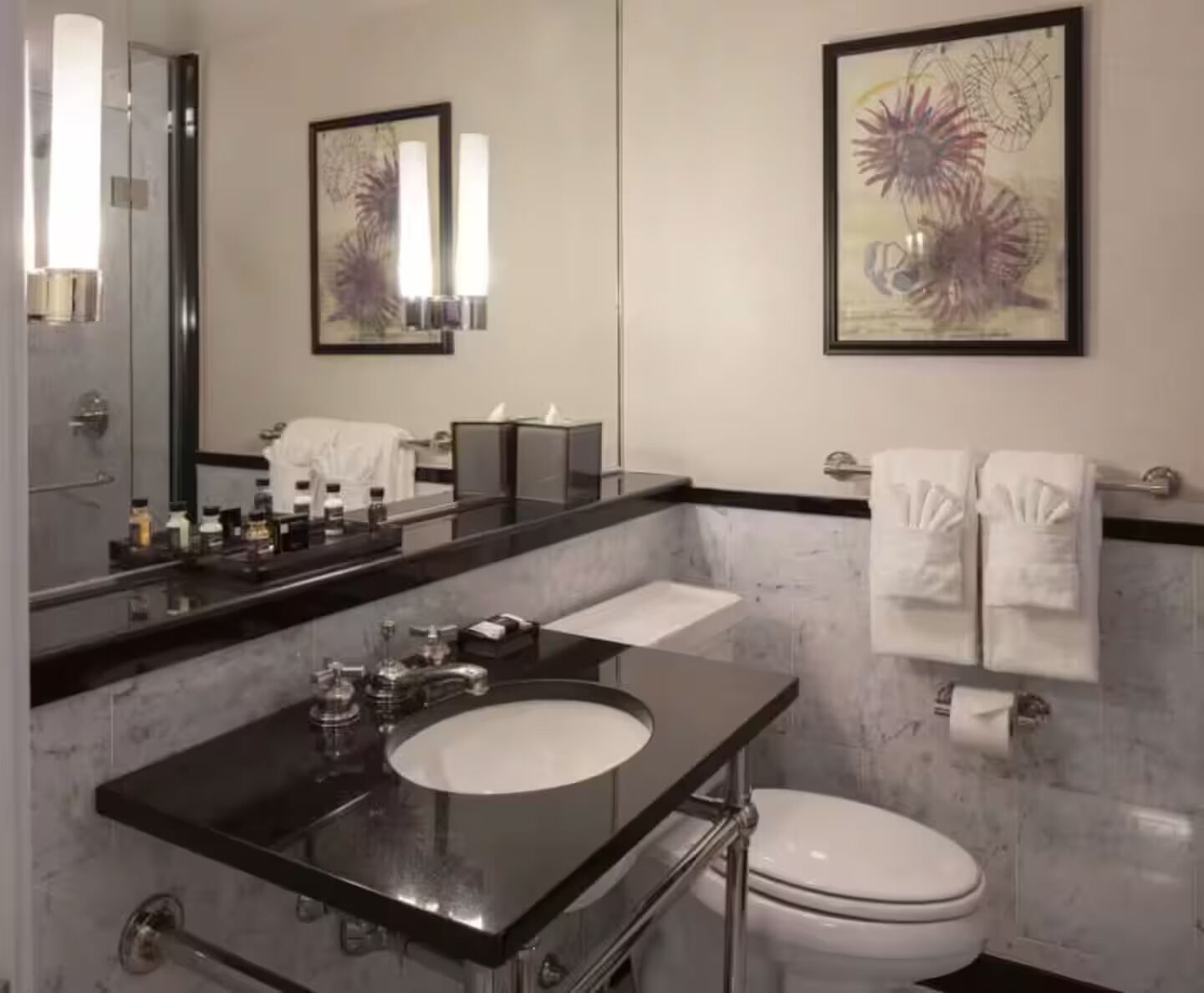 Hair dryer, towels, soap, toilet paper