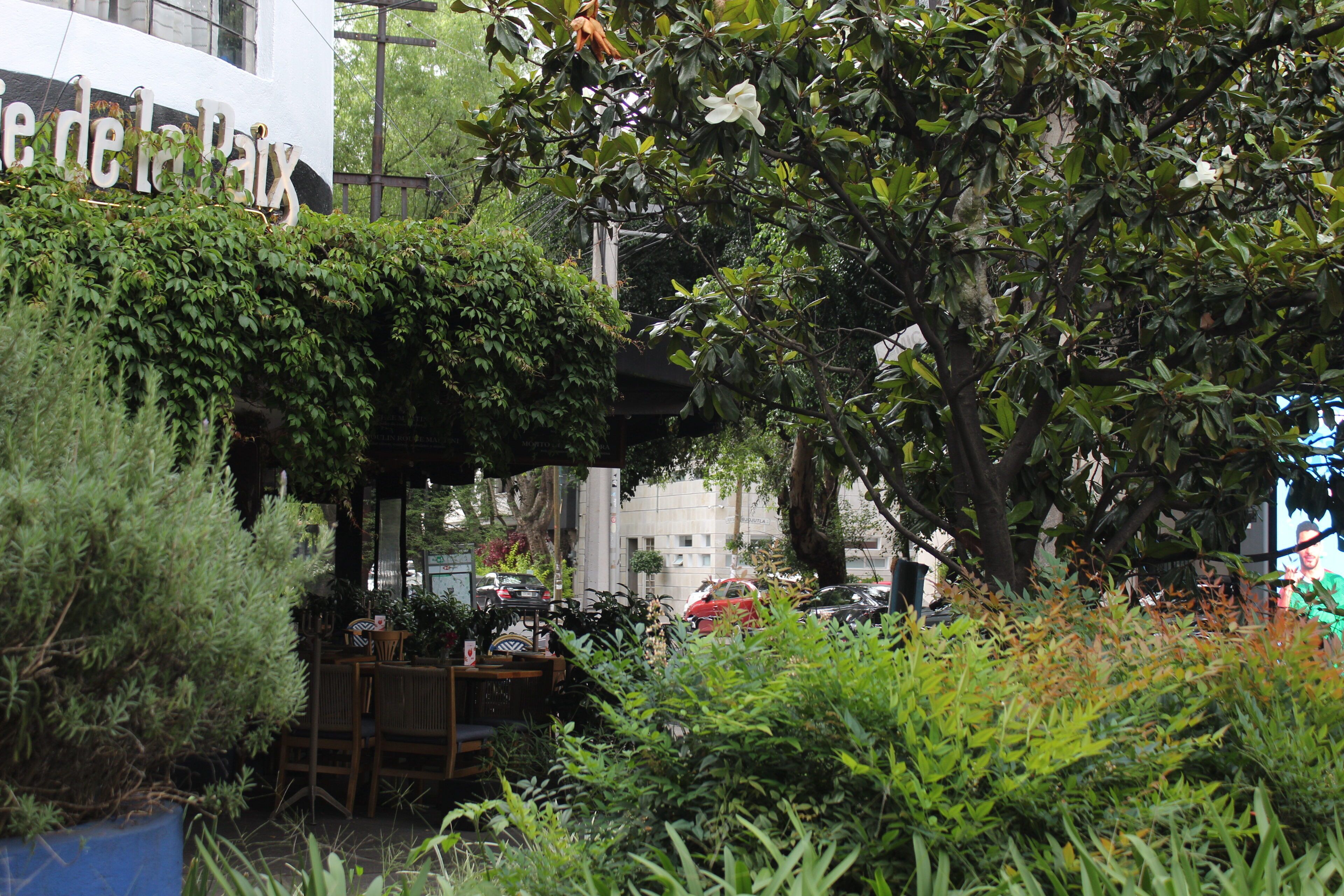 Un café doté d’une terrasse, entouré d’une végétation luxuriante et situé à proximité d’un bâtiment portant une enseigne.