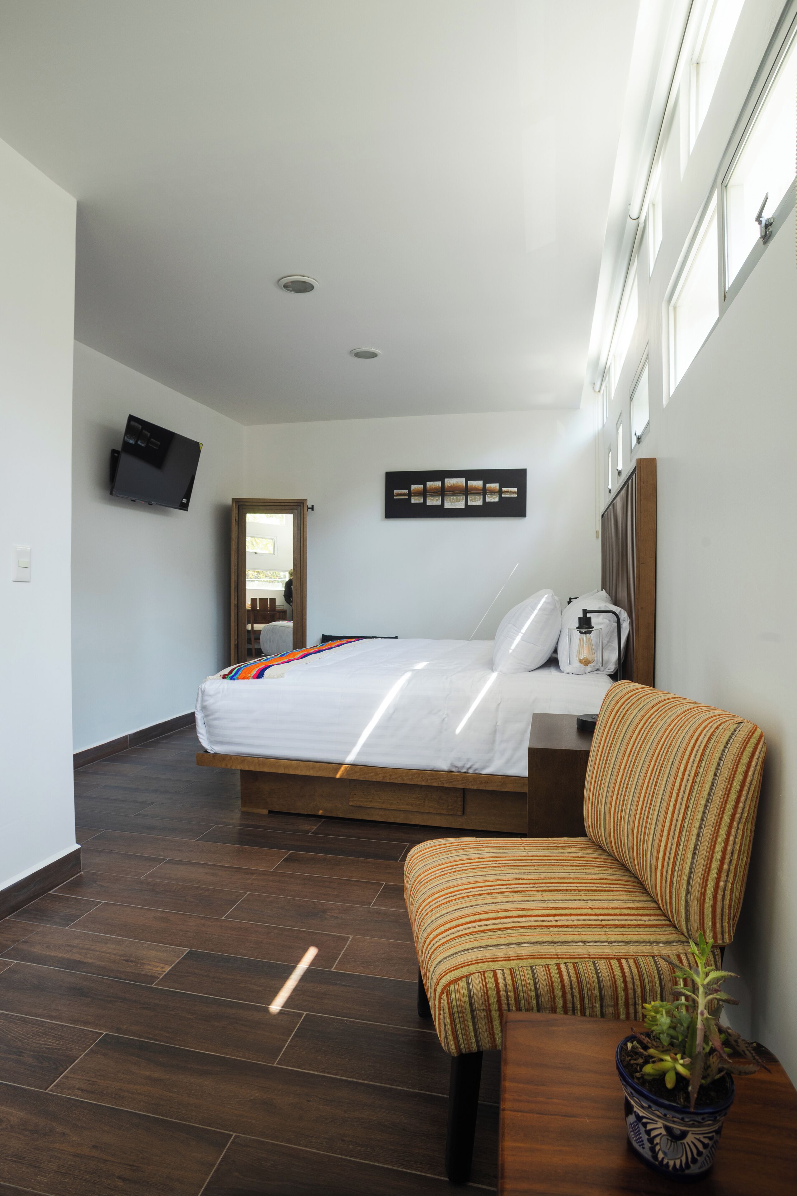 A hotel room with a bed, a TV mounted on the wall, a mirror, a potted plant, and a window.