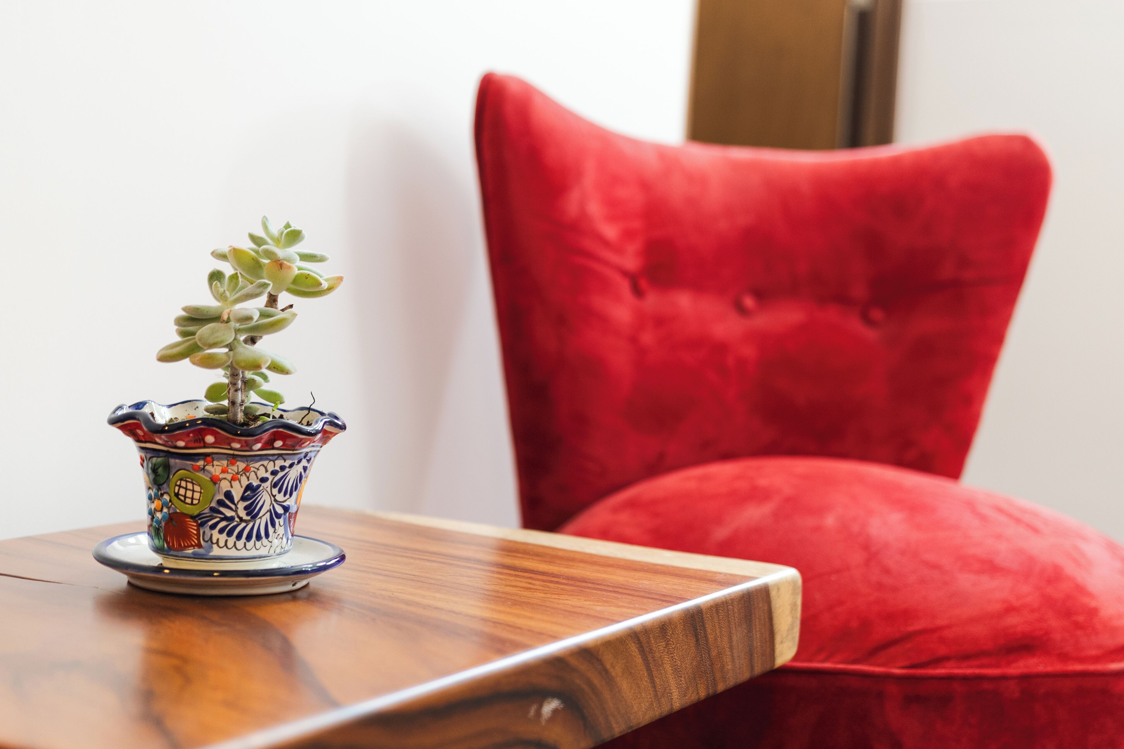 Una planta en maceta sobre una mesa de madera, junto a una silla roja.