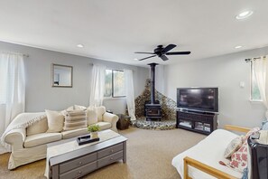 TV, fireplace, books