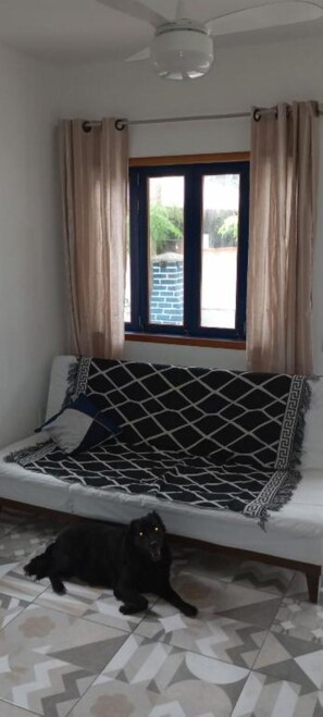 Ein Zimmer mit einer Couch, einem Fenster mit Vorhängen und einem Hund auf dem Boden.