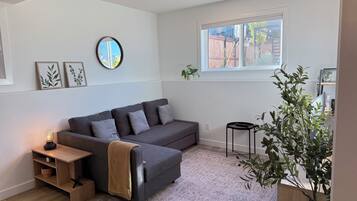 Älytelevisio, kirjoja