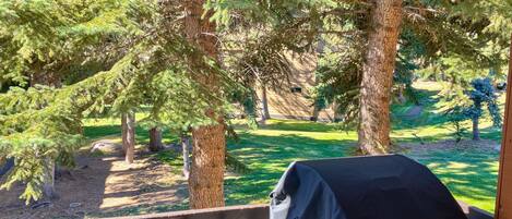 Àrea exterior de l'allotjament