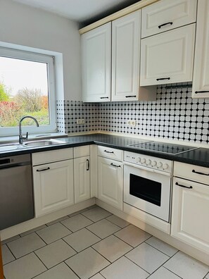 Kühlschrank, Ofen, Herdplatte, Geschirrspüler