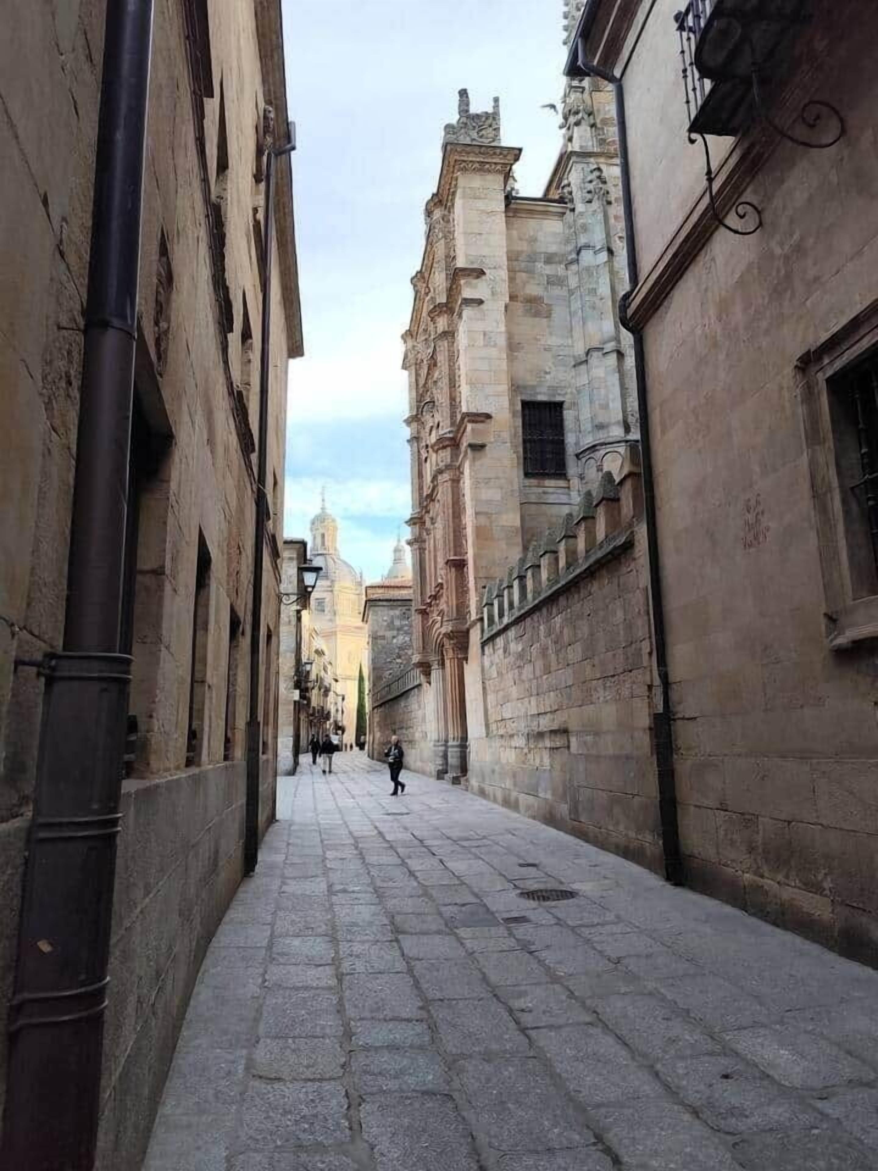 Una estrecha calle empedrada, flanqueada por edificios históricos de arquitectura clásica.