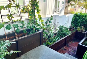 Terrain de l’hébergement 