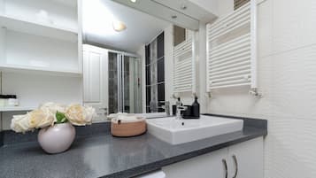 Hair dryer, bidet, towels, soap