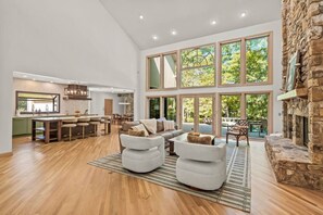 Televisión, chimenea, libros y videoteca 