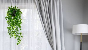 A room with a bed, a hanging plant, a chair, a lamp, and a window with curtains. - Greensboro`s Gem! Group Friendly, Central Location (Greensboro)