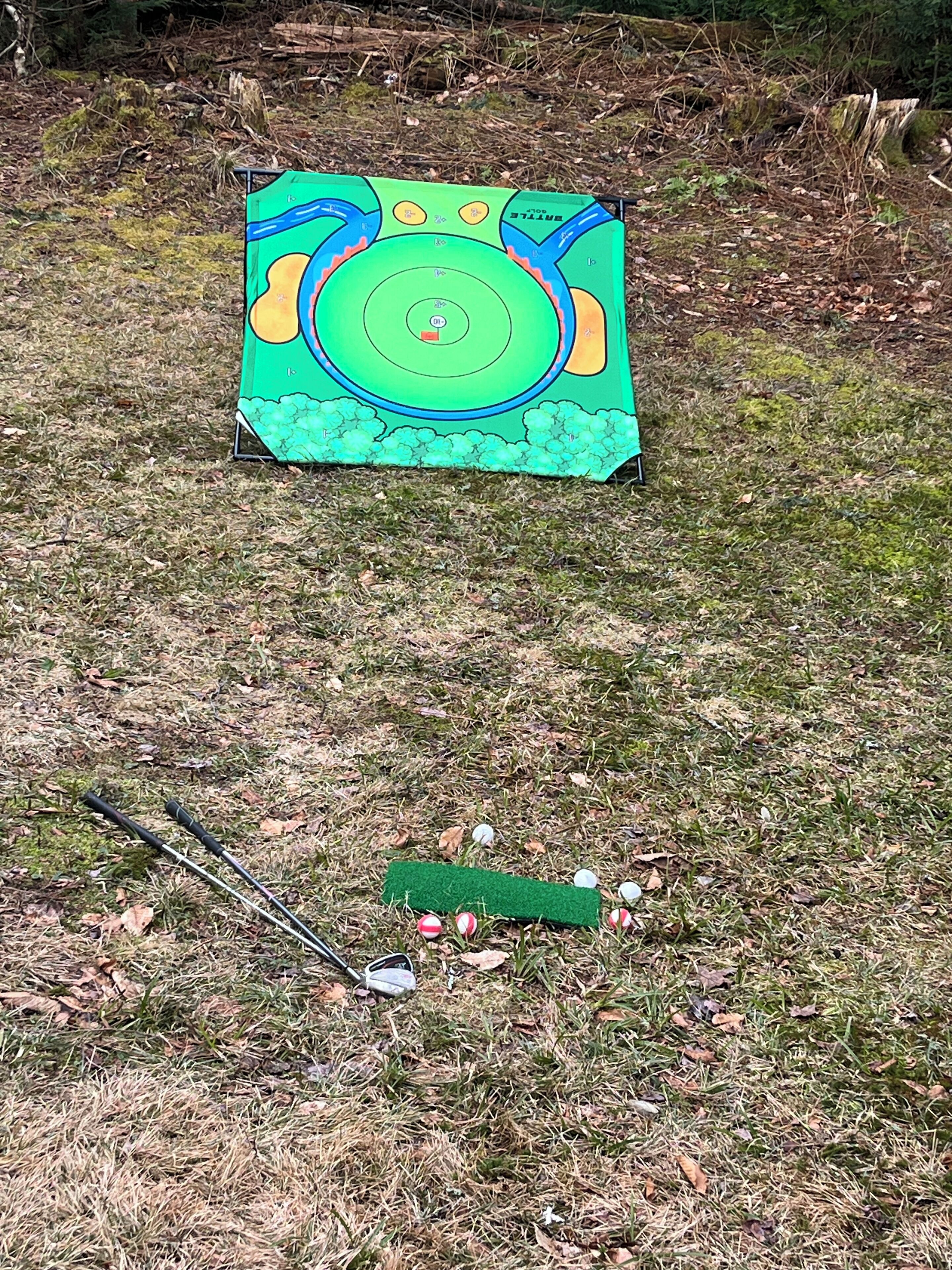 A target board with concentric circles and a green mat with golf balls and clubs on a grassy field.