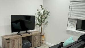 テレビ