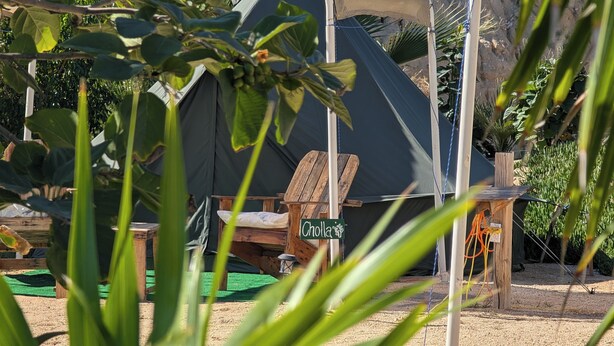 A tent labeled "Cholla" with a wooden chair and a small table in front. - La Window Glamping (La Ventana)
