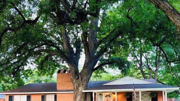 Ein zweistöckiges Haus mit einem großen Baum davor, einer überdachten Veranda und einem gepflegten Rasen.