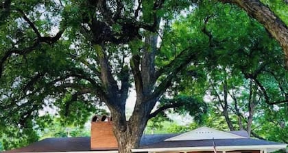 Casa Consuelo, A charming house in peaceful South Del Rio