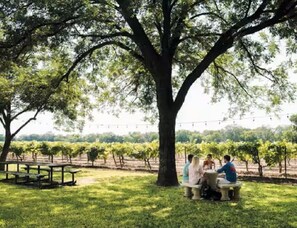 تناول الطعام بالخارج