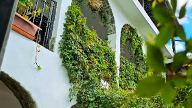 Un immeuble à plusieurs étages, doté d’arcades et de plantes suspendues.