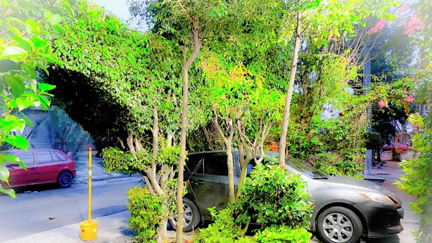 Un cotxe estacionat al carrer, amb arbres i una vorera.
