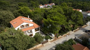 Un quartier résidentiel où les maisons sont entourées d’arbres denses.