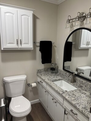 Hair dryer, towels, soap, toilet paper