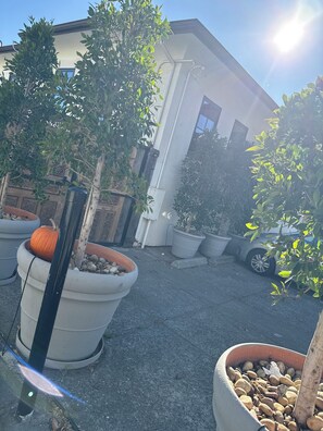 A courtyard with potted plants and a building in the background. - Amazing 4-bedroom home with AC in downtown San Rafael (San Rafael)