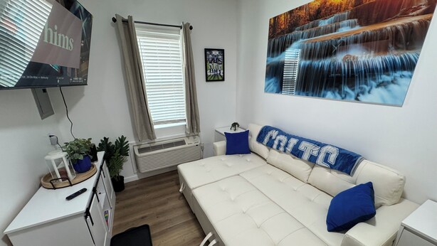 Una habitación moderna con un sofá cama, una mesita con una planta, un calentador y un televisor fijado a la pared.