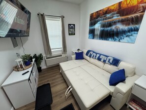 Ein modernes Zimmer mit Schlafsofa, einem kleinen Tisch mit Pflanze, einem Heizgerät und einem an der Wand montierten Fernseher.