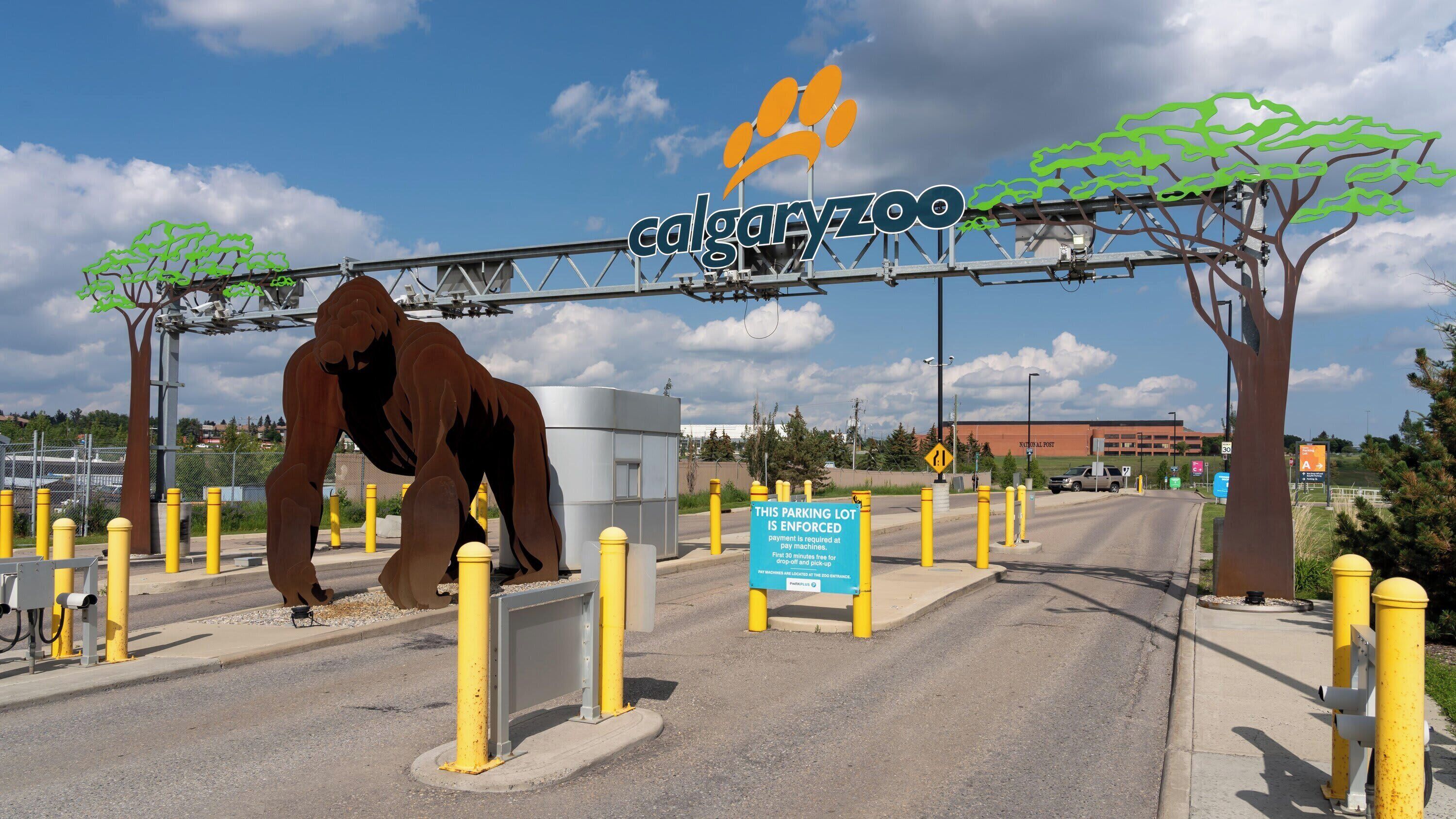A parking lot entrance with a large animal sculpture, a sign for Calgary Zoo, and a pay station.
