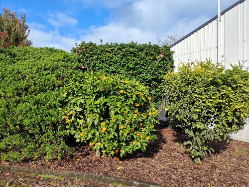 Entire guesthouse in Inglewood, New Zealand