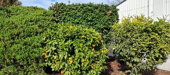 Entire guesthouse in Inglewood, New Zealand