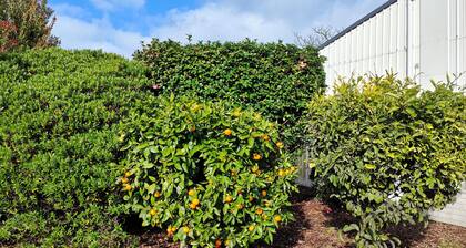 Entire guesthouse in Inglewood, New Zealand