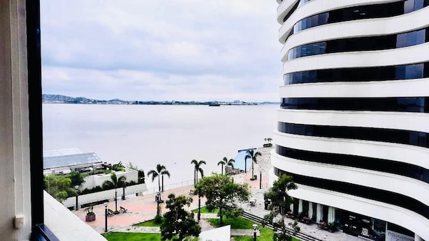 Vista desde una ventana con vista a una masa de agua, un edificio moderno de fachada curva y una zona ajardinada con palmeras y bancos.