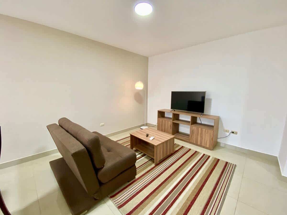 Fernseher, Arbeitsbereiche