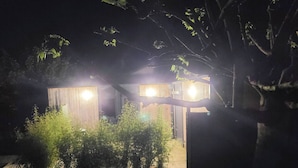 Een houten blokhut met twee verlichte ramen, omringd door dichte begroeiing.