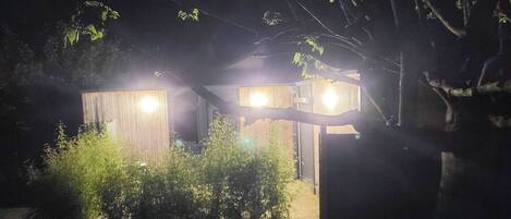 A wooden cabin with two illuminated windows, surrounded by dense foliage.