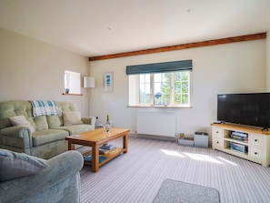 Fireplace - The Cottage Middle Westwater (Axminster)