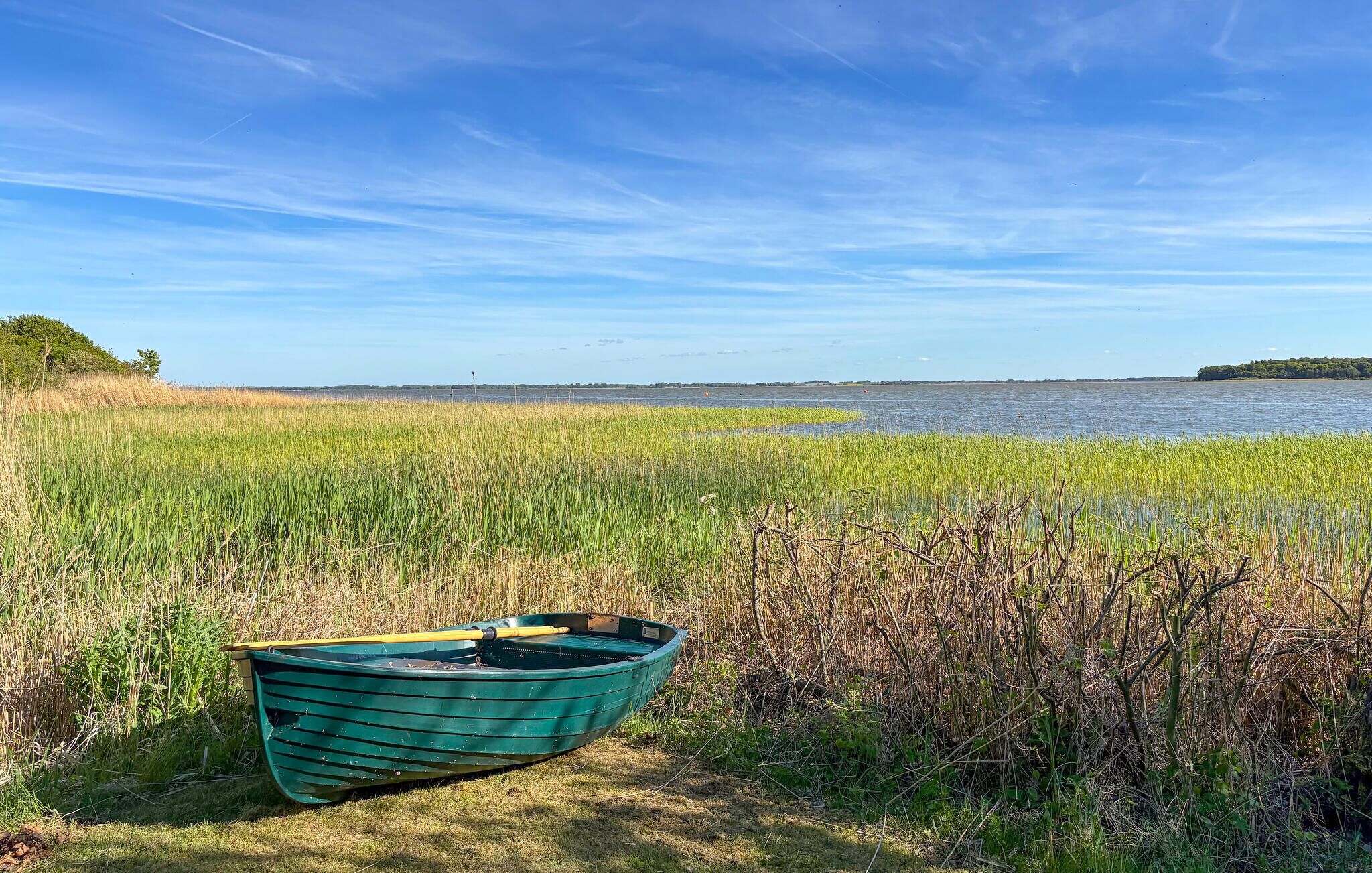 A green boat in a grassy area near a body of water.