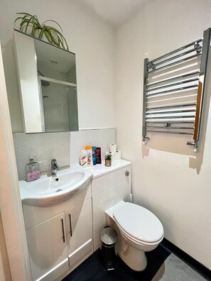 Regadera, secadora de cabello, toallas, jabón