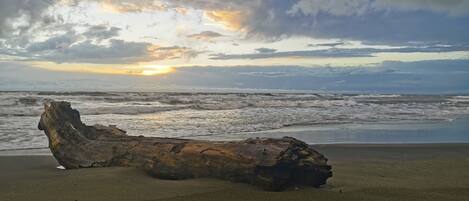 Sun-loungers, beach towels