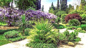 Un jardin où l’on trouve une variété de plantes et d’arbres, notamment des fleurs violettes et un feuillage verdoyant.