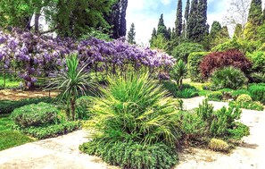 Property grounds - Authentique maison piscine (Thézan des Corbières)