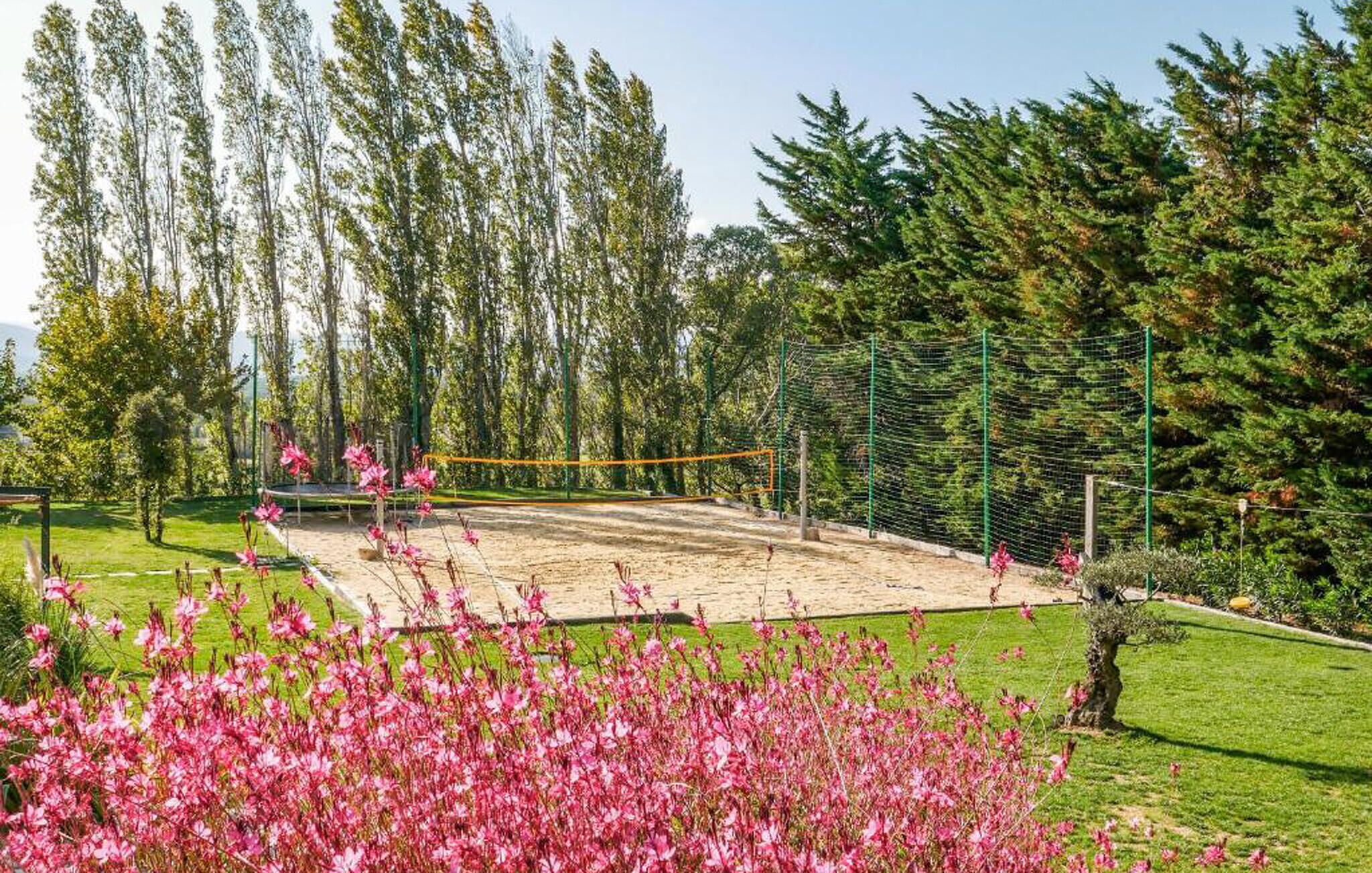 A volleyball court surrounded by trees and blooming flowers.